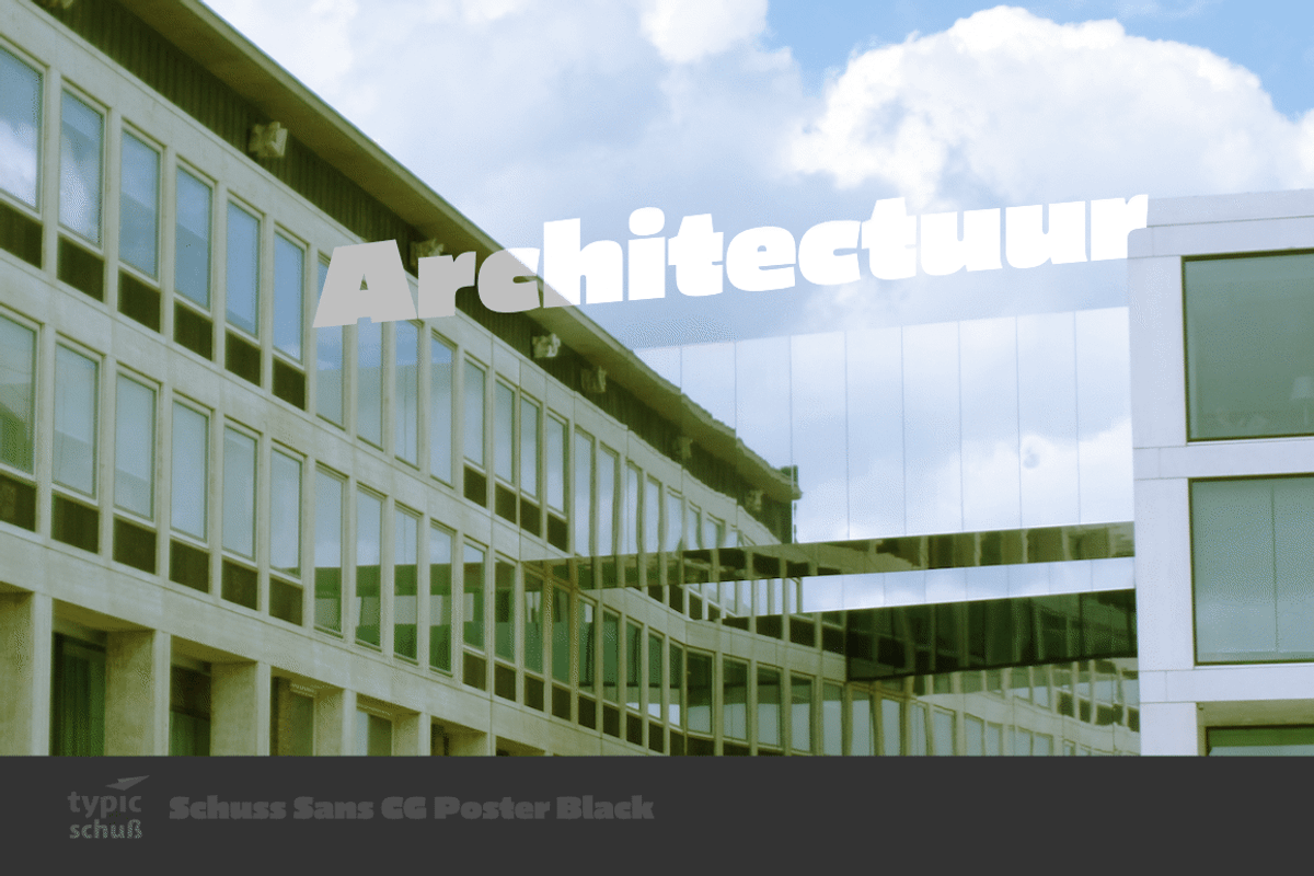 Schuss Sans CG Poster Black, a Sans Serif Font by typic schuss (Photo 9 of 15)