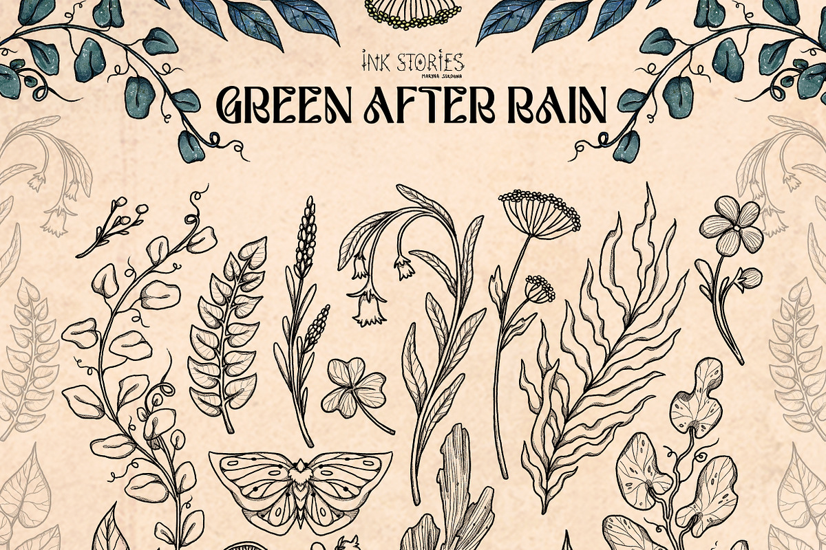 Green After Rain Botanical Set, an Object Illustration by Ink Stories (Photo 3 of 13)
