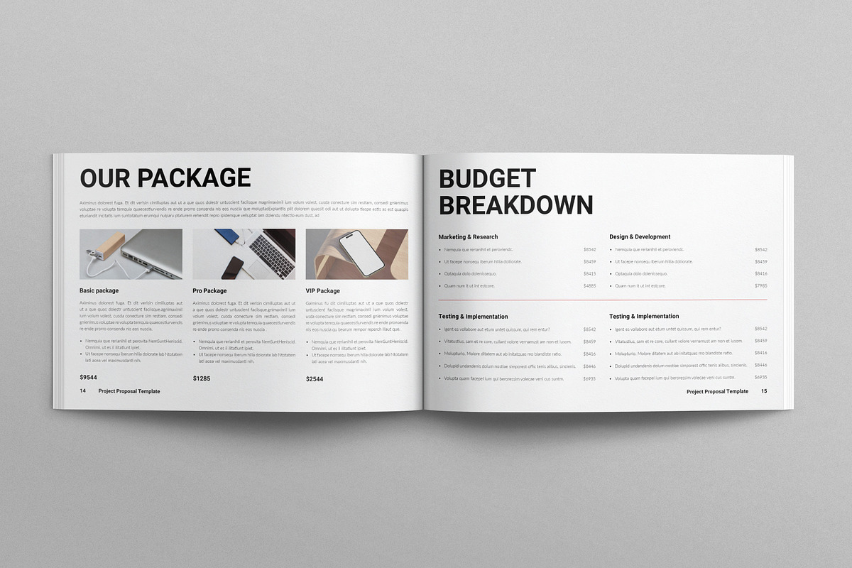Project Proposal Template Landscape, a Brochure Template by E-Type (Photo 6 of 8)