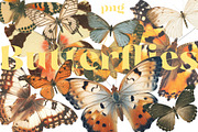 Moth and Butterflies, an Object Graphic by TheCuteShop (Thumbnail 4 of 9)
