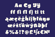 Serendipi - Heavy Headliner, a Sans Serif Font by TypeFaith Fonts (Thumbnail 10 of 13)