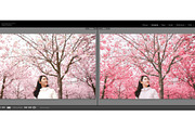 Pink Attitude Lightroom Presets, an Action Add-On by TravellersLight (Thumbnail 11 of 22)