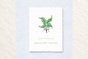 Floral Watercolor Illustrations, a Decorative Illustration by Bbooth88 (Thumbnail 6 of 6)