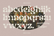 Mostera, a Serif Font by Megatype (Thumbnail 10 of 15)