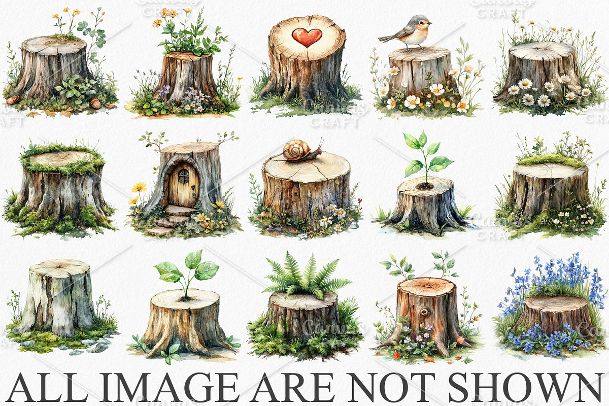 Watercolor Spring Stump Clipart PNG, an Illustration by Canvas Craft (Photo 3 of 7)