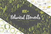 Vector Botanical Elements +Extras!, a Decorative Illustration by eclosque (Thumbnail 1 of 5)
