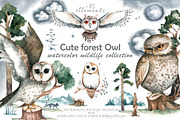 Cute forest owl. Wildlife watercolor, an Animal Illustration by Ann Art Houze (Thumbnail 1 of 10)
