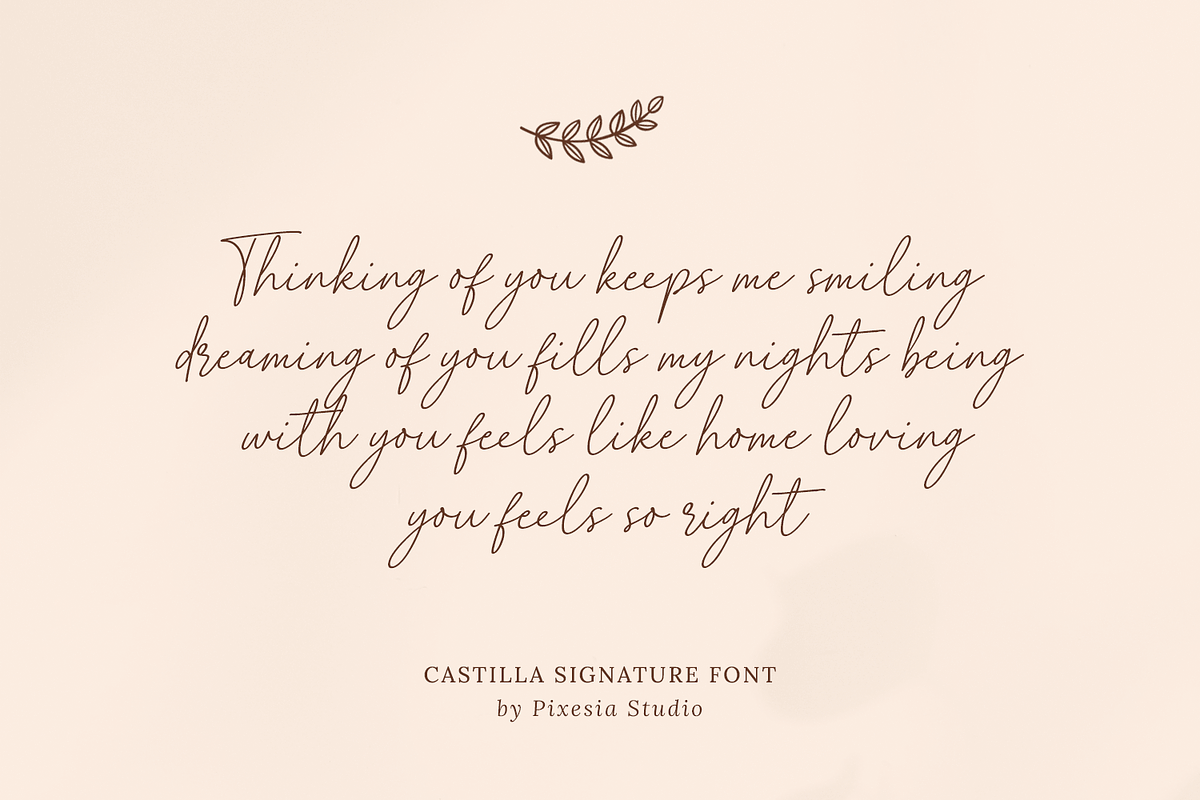 Castilla Signature Handwritten Font, a Handwritten Font by Pixesia Studio (Photo 3 of 10)