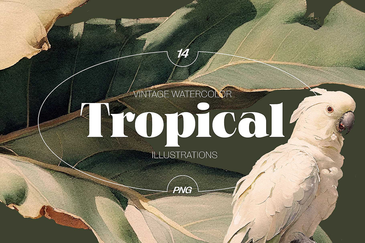 Tropical - watercolor illustrations, a Decorative Illustration by AI Crafted Magnolia (Photo 1 of 13)