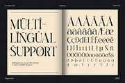 TBJ Black Gold 2-Styles Serif, a Serif Font by Taboja Studio (Thumbnail 14 of 15)