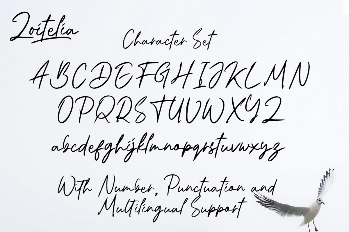 Zoitelia - Modern Signature Font, a Script Font by Megatype (Photo 10 of 11)