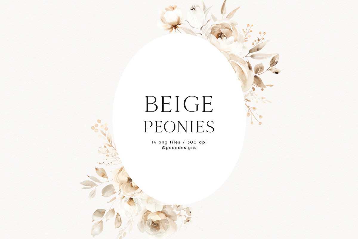 Beige Peonies, a Decorative Illustration by PeDe Designs (Photo 7 of 9)