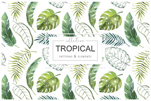 Tropical watercolor collection.