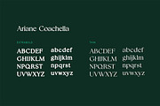 Ariane Coachella Elegant Serif Font, a Serif Font by UICreative (Thumbnail 12 of 13)