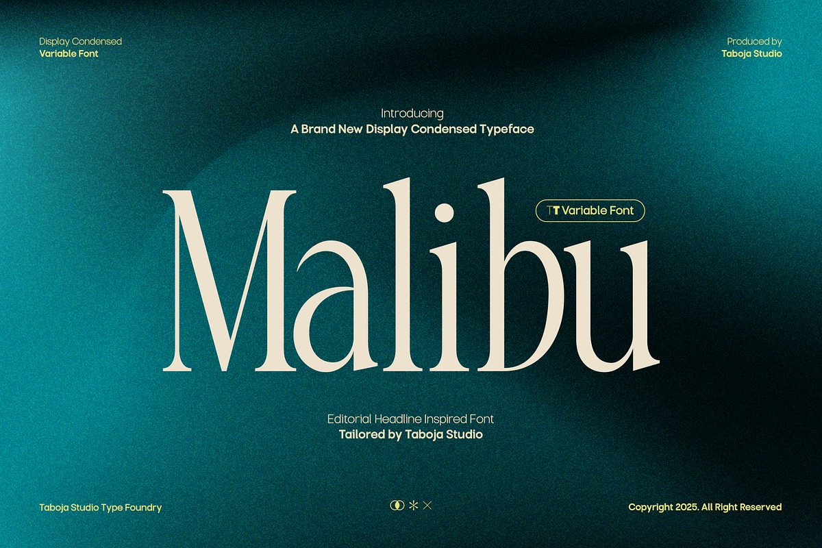 TBJ Malibu Condensed Display Font, a Serif Font by Taboja Studio (Photo 1 of 22)