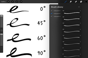 Procreate Round Calligraphic Brushes