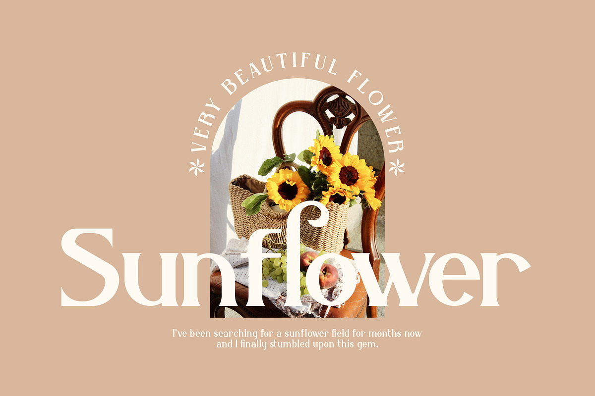 Belisha Modern Serif Font, a Serif Font by Storytype Studio (Photo 3 of 15)