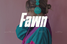 FAWN MODERN DISPLAY SAN SERIF FONT