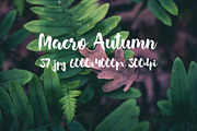 Macro Autumn photo bundle, a Templates & Theme by ApertureVintage (Thumbnail 9 of 21)