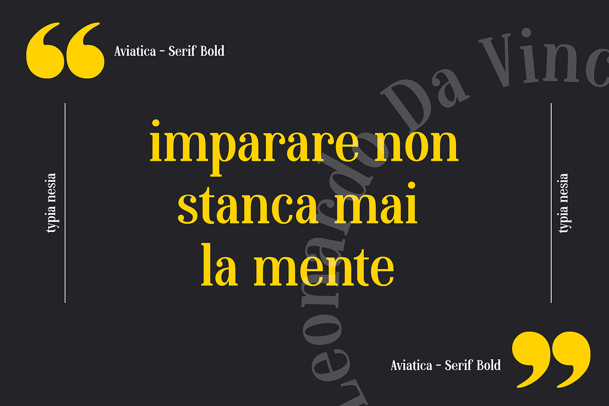 Aviatica Classic Serif, a Serif Font by Typia Nesia (Photo 2 of 9)