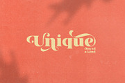 Kaoly - Beautiful Attractive Font, a Serif Font by creativemedialab (Thumbnail 14 of 16)