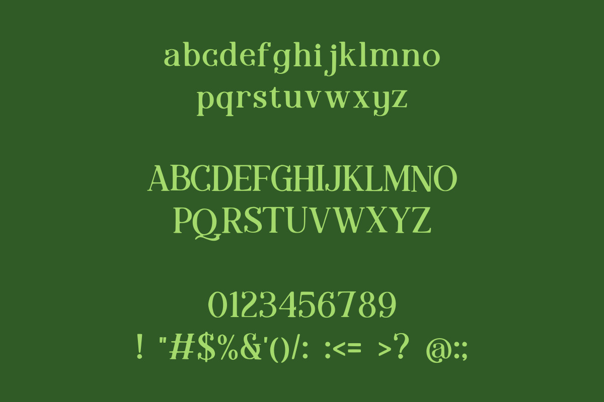 Qaeris Minimal Luxury Serif Typeface, a Serif Font by AN Productions (Photo 6 of 7)