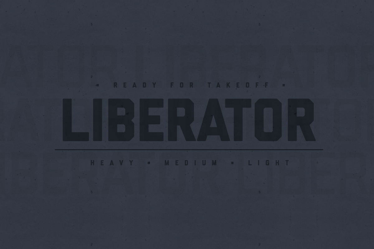 Liberator Family preview 4
