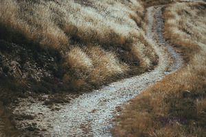 Winding trail on Camino de Santiago, a Wallpaper Photo by SkyNext