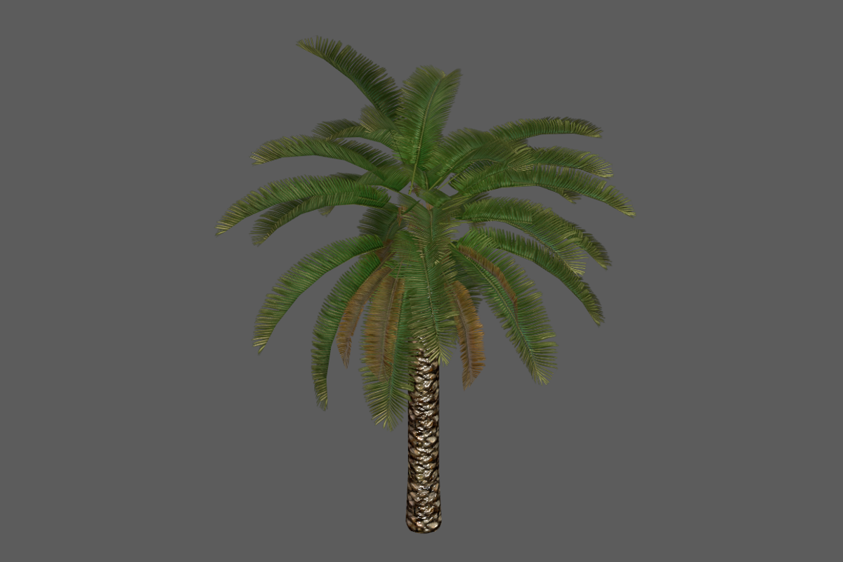 Palm_Tree_Short, an Environmental 3D Model by 2dawngames (Photo 1 of 2)