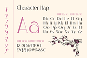 Irazhumi, a Serif Font by Burntilldead (Thumbnail 3 of 16)