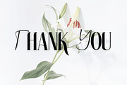 white over font serif, a Serif Font by azdaffstudio (Thumbnail 2 of 14)