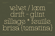 Marjolaine Type - A delicate Serif, a Serif Font by CarmineType (Thumbnail 12 of 24)