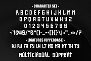 Black Swan - Classic Vintage Font, a Sans Serif Font by Pian45 Studio (Thumbnail 12 of 12)