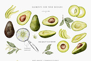Avocado watercolor set, a Food Illustration by Daryartsy (Thumbnail 2 of 5)
