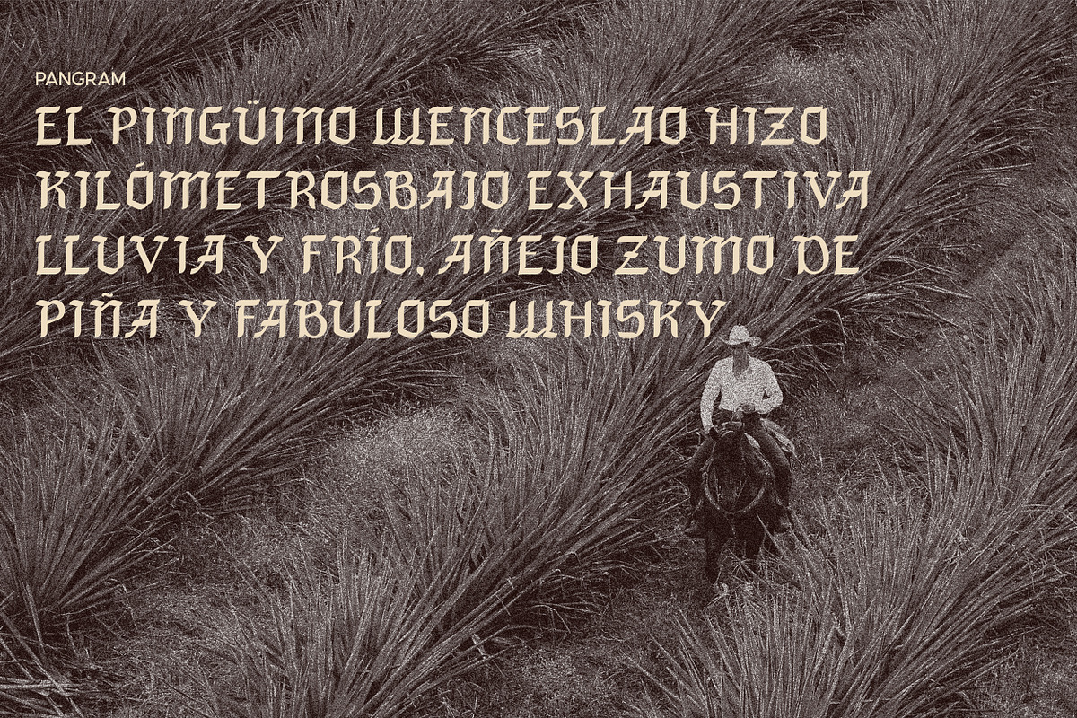 Blancoka Font, a Blackletter Font by Hishand Studio (Photo 10 of 10)