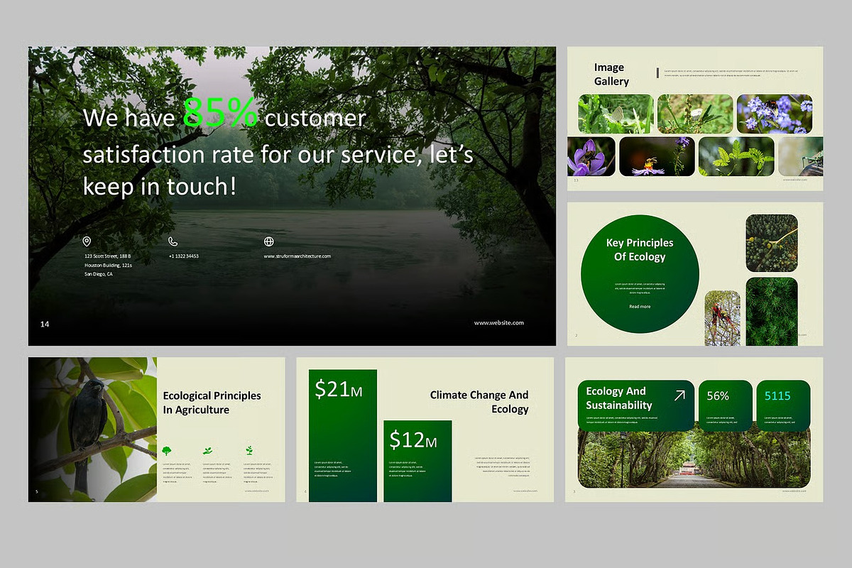 Ecology Environment GSlides, PPoint preview 3