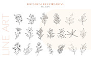 Wildflowers Botanical Line Art, an Illustration by Kaya Fonts (Thumbnail 6 of 18)