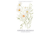 watercolor daisy clipart set, a Decorative Illustration by Patishop Art (Thumbnail 4 of 6)