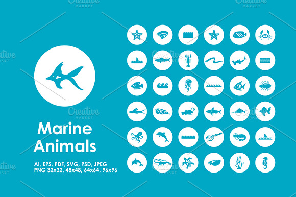 Marine Animals Icons