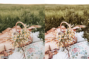 Picnic Outdoor Lightroom Presets, a Preset Add-On by AAA Presets (Thumbnail 6 of 17)