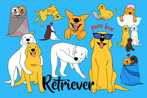 Retriever