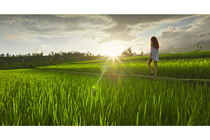 Woman walking through lush green, a Person Photo by Goinyk