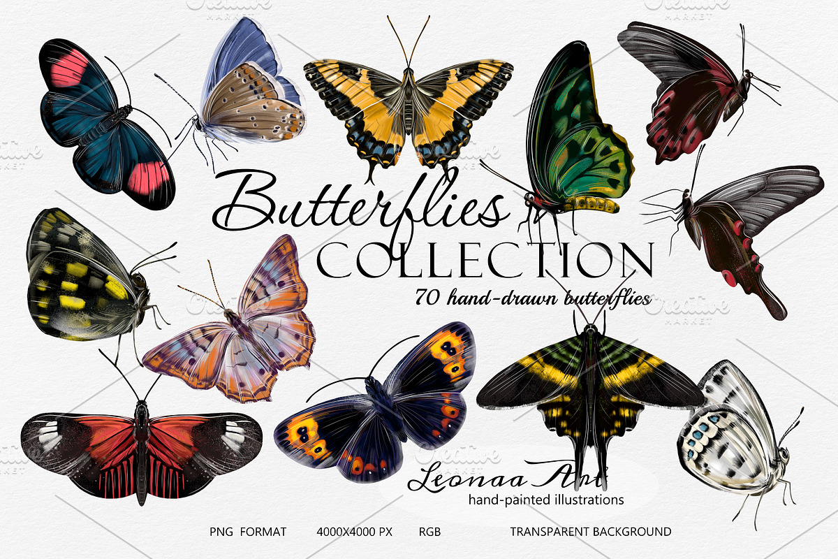 Butterflies Clipart Set, an Animal Illustration by Leonaa art (Photo 7 of 12)