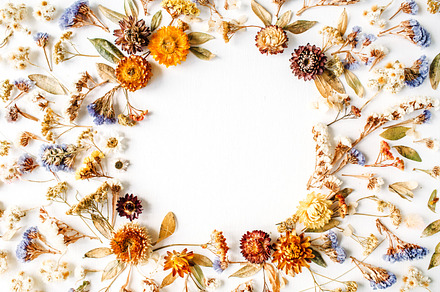Floral frame containing dry, orange, and isolated, an Arts & Entertainment Photo by Floral Deco