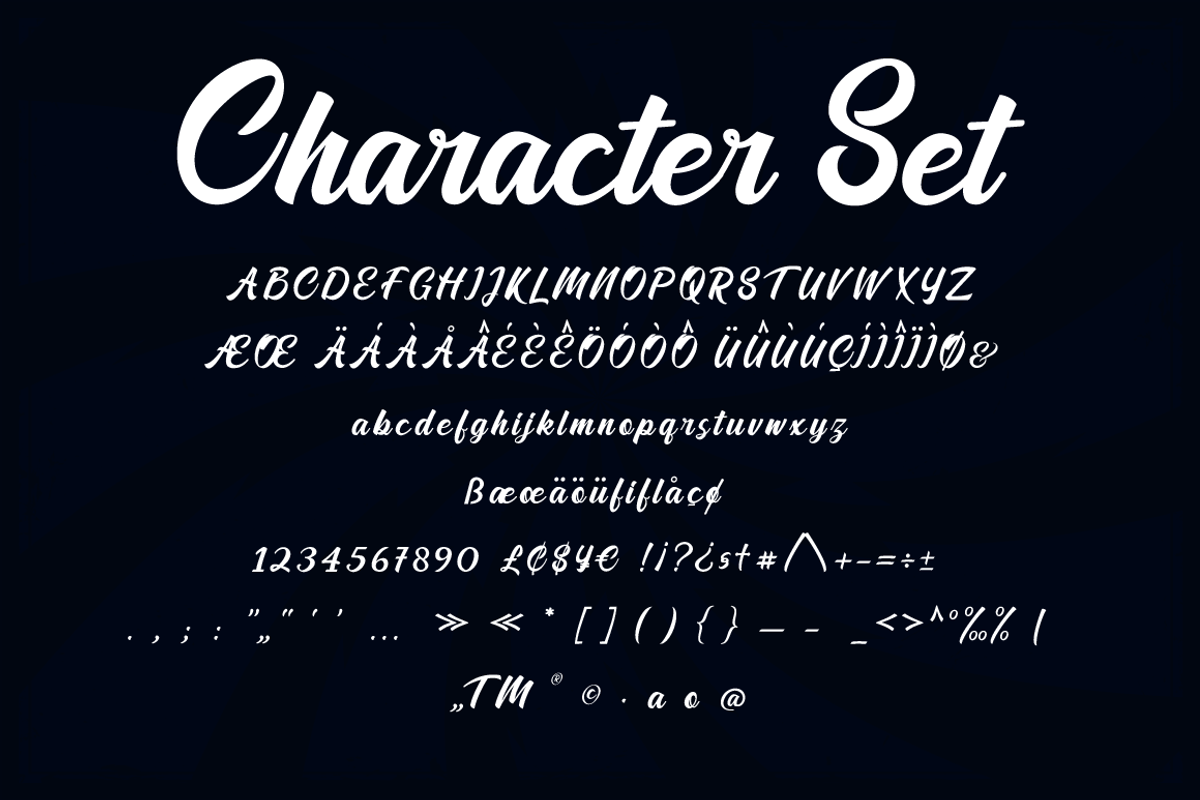 Road Stone - Apparel Style Font, a Script Font by PutraCetol Studio (Photo 5 of 11)