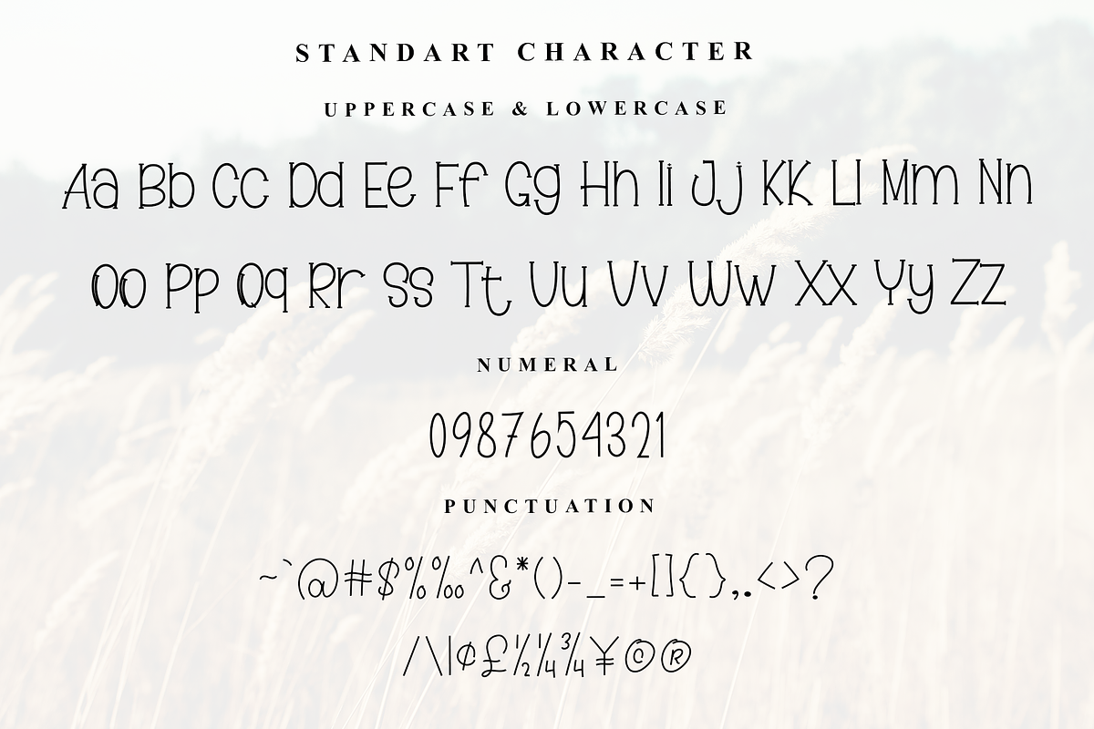 Handmade, a Serif Font by InermediaSTUDIO (Photo 2 of 7)