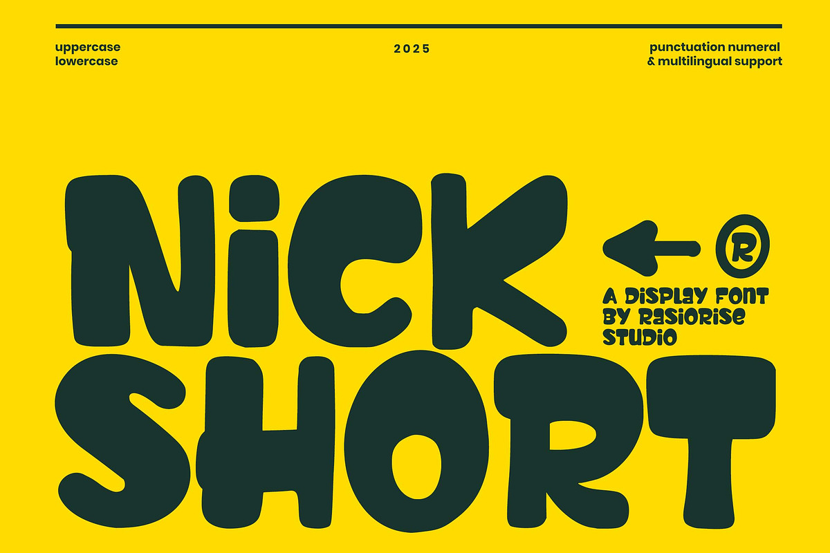 Nick Short a Display Font, a Handwritten Font by Rasiorise Studio (Photo 1 of 12)