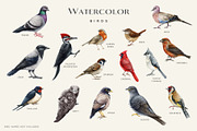 Birds Watercolor Painted Set, an Animal Illustration by AnitaPol (Thumbnail 3 of 18)
