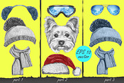 Yorkshire terrier / Wintertime, an Animal Illustration by Victoria_Novak (Thumbnail 3 of 3)