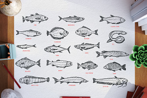 Fish, an Animal Illustration by CGterminal